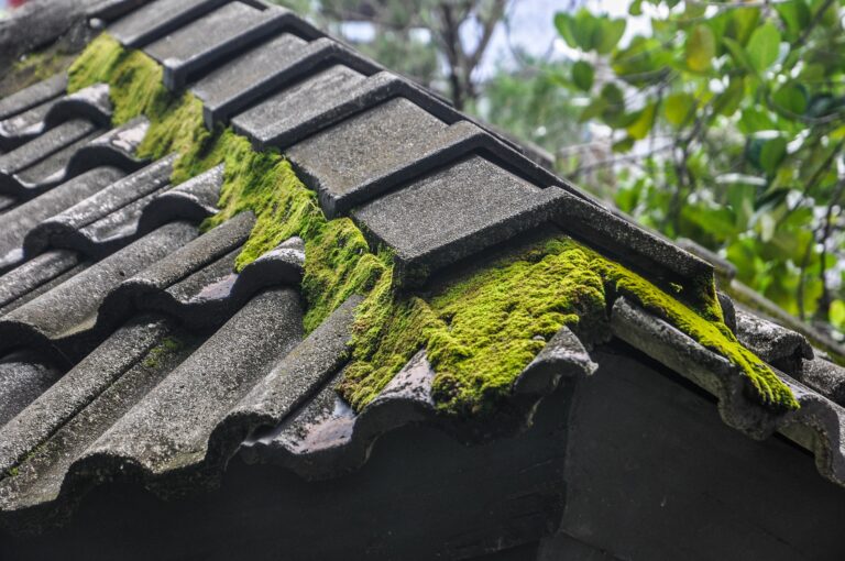 Roof cleaning Contractor York